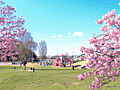 公園「本庄公園...