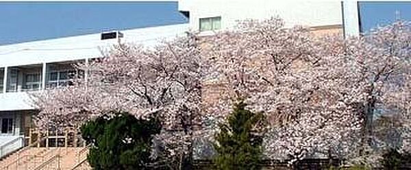 箕面市立南小学校　７２７.3M