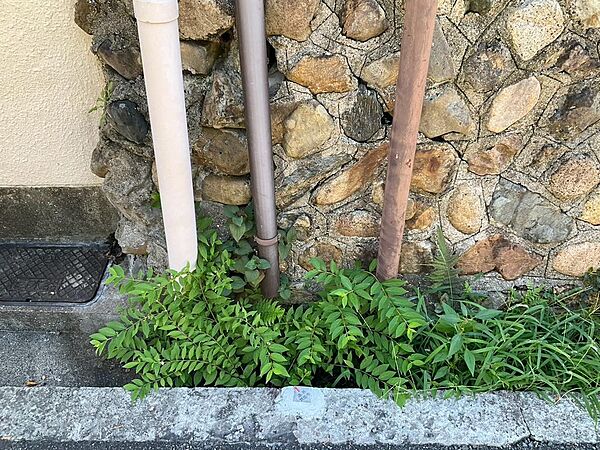 外観(11)