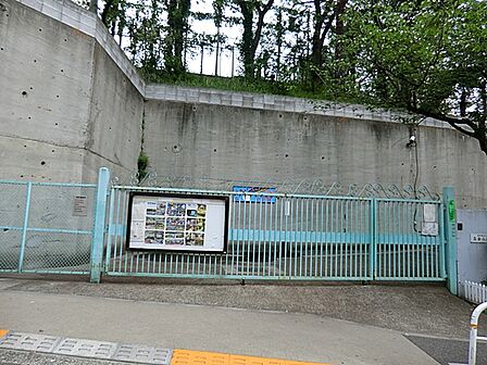 品川区立立会小学校 250m