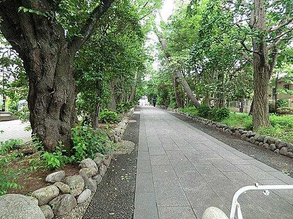 鷺草園　460ｍ