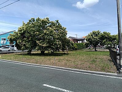 外観 外観
