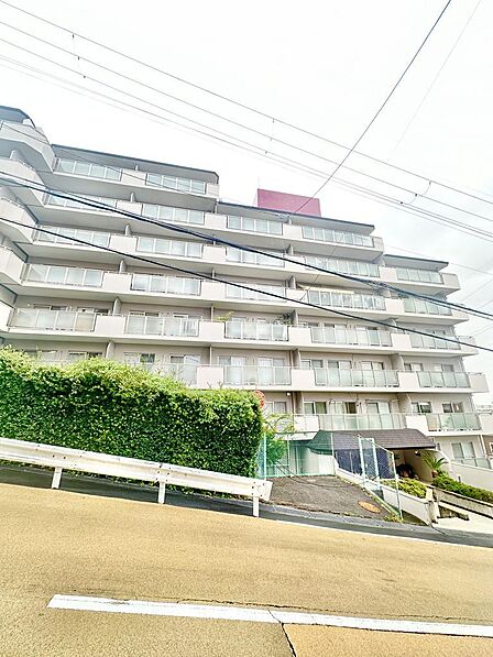 １１階建てのマンションとなっております。