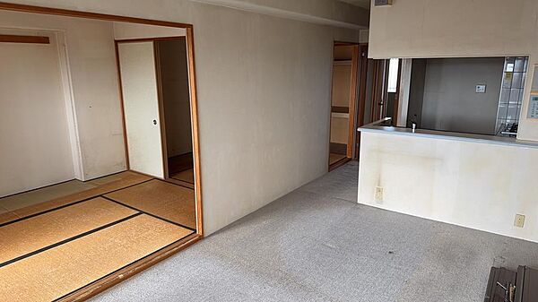 室内（2026年7月）撮影