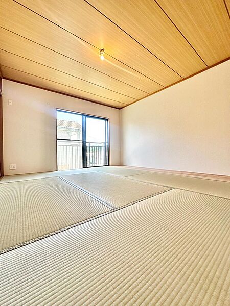 室内（2025年8月）撮影