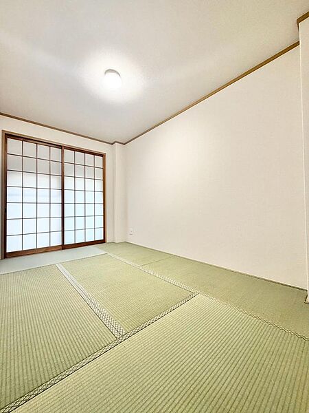 室内（2026年8月）撮影