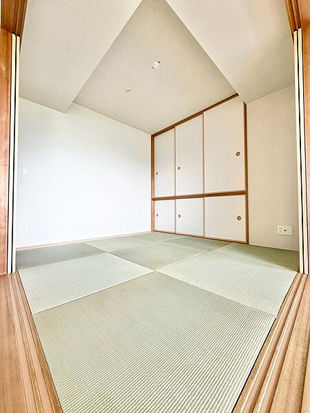 室内（2026年7月）撮影