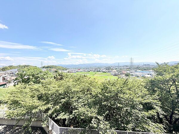 現地（2026年7月）撮影