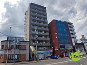 北24条駅より徒歩3分 4階 築29年4ヶ月の賃貸物件