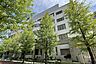 周辺：月島第三小学校[公立]の外観