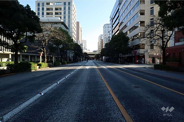 敷地北東側の前面道路(南東側から)
