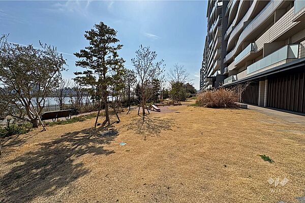 敷地内にある広場