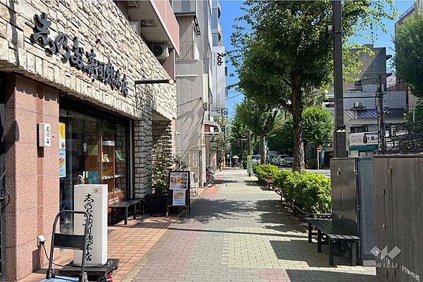 敷地の南東側前面道路（南西側から）