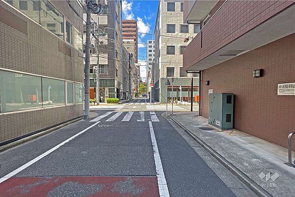 敷地の西側前面道路（南側から）