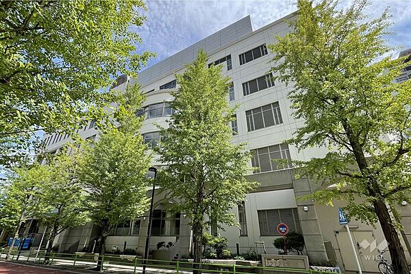 月島第三小学校[公立]の外観