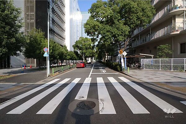 敷地北西側の前面道路(南西側から)