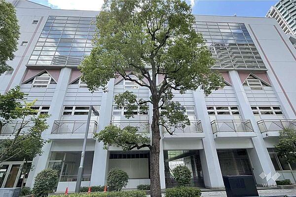 佃島小学校[公立]の外観