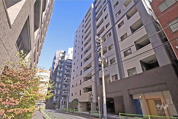 敷地北西側の前面道路(南西側から)