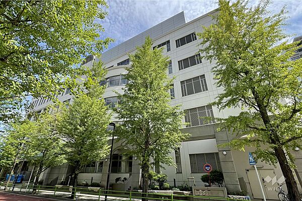 月島第三小学校[公立]の外観