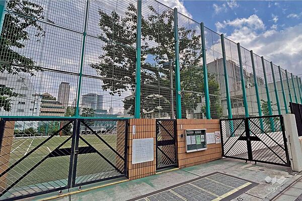 周辺を拡大表示