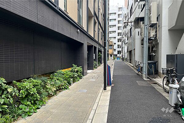 敷地の北側前面道路（東側から）