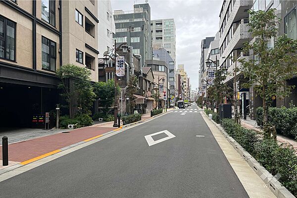 敷地の東側前面道路（南側から）