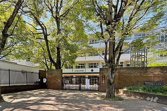 青山中学校[公...