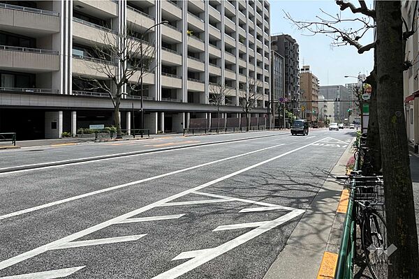 敷地の西側前面道路（北側から）