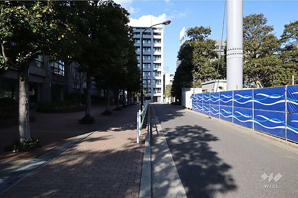 敷地東側の前面道路（南側から）