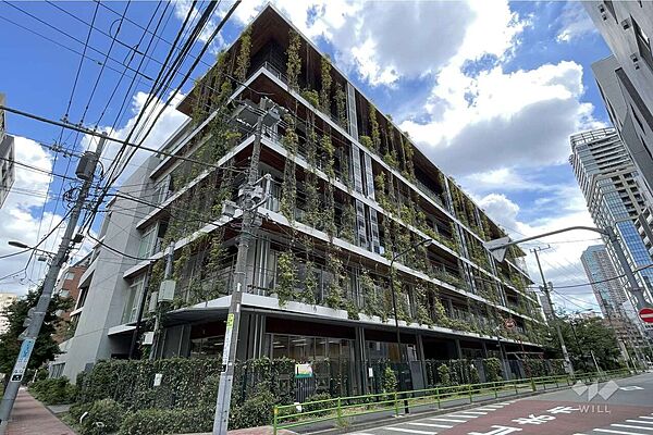 中央小学校[公立]の外観