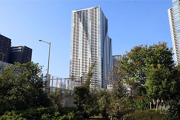 ザ・東京タワーズシータワーの外観(東側から)
