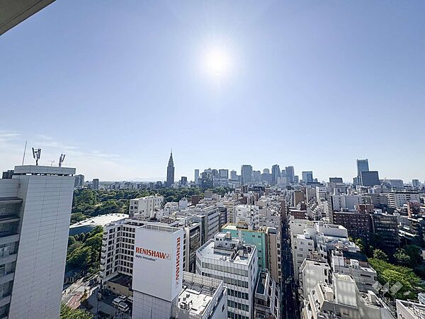 バルコニーからの眺め（南西方向）