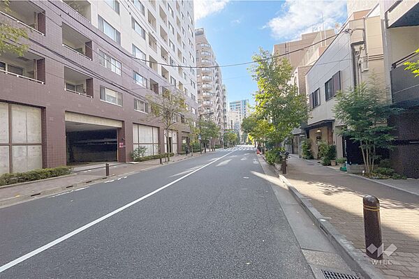 敷地北西側の前面道路（北東側から）