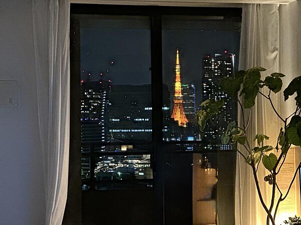 夜にはライトアップされた東京タワーを楽しめます※天候等による