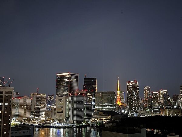 室内から東京タワーを望む、都心ならではの眺望