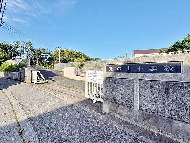白井市立池の上小学校 徒歩7分。 510m