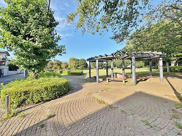 白井木戸公園 徒歩5分。 340m