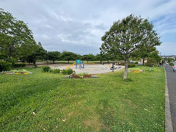 周辺を拡大表示