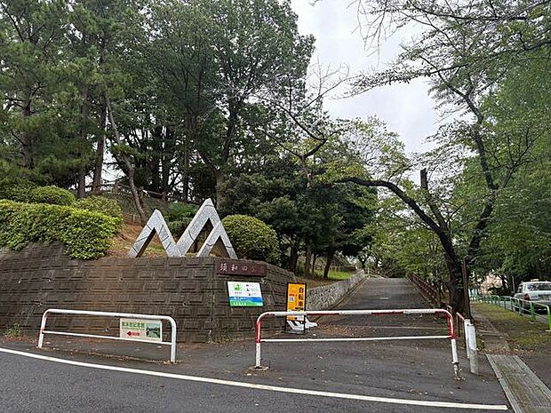 須和田公園 徒歩6分。 410m