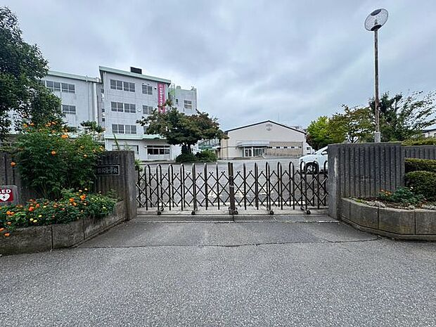流山市立常盤松中学校 徒歩12分。 950m
