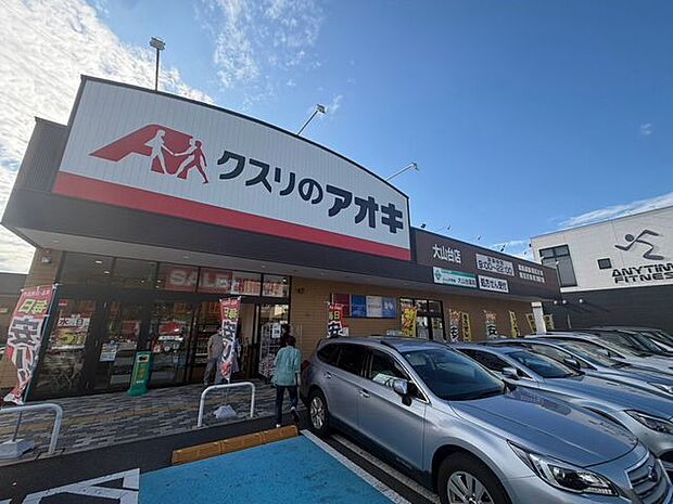 クスリのアオキ大山台店 330m