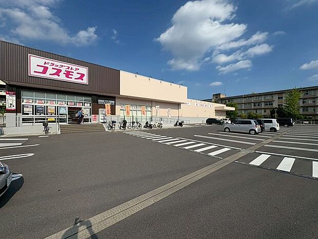 ドラッグストアコスモス流山店 徒歩27分。 2100m