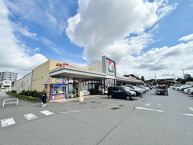 ヨークフーズ PAZ新柏店 1300m