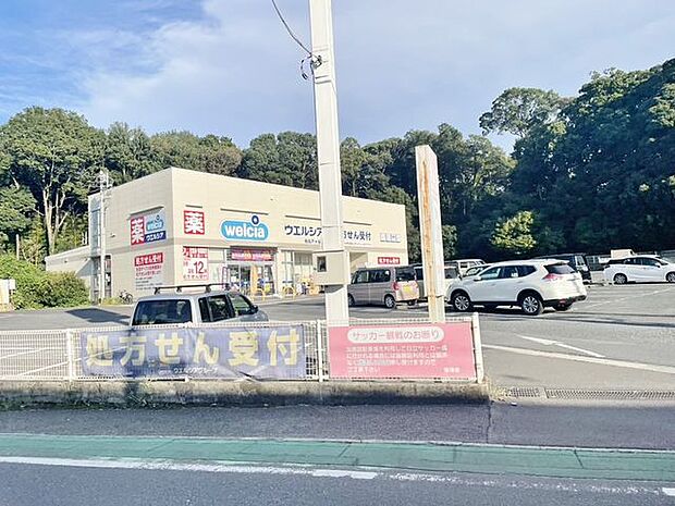 ウエルシア柏名戸ヶ谷店 900m