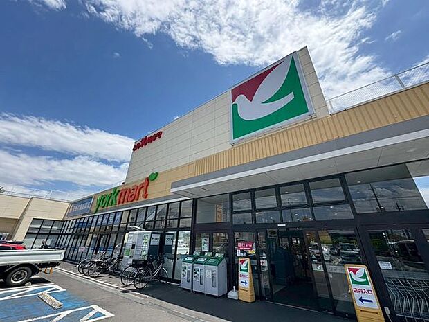 ヨークマート花野井店 1230m