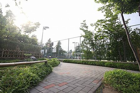小岩公園 516m