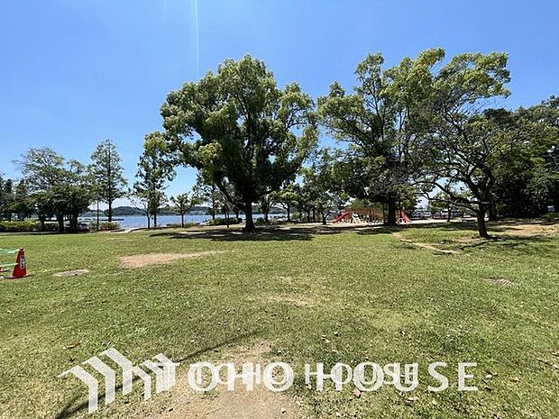 手賀沼公園 610m 710m