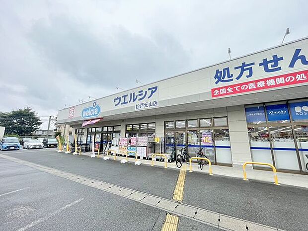 ウエルシア鎌ケ谷初富店1100m