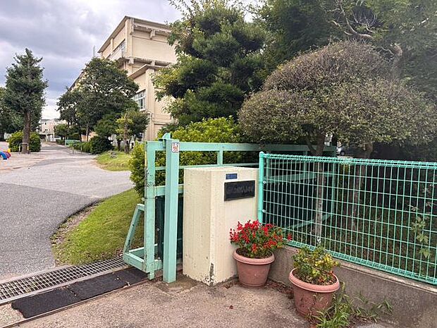 柏市立柏第八小学校 550m