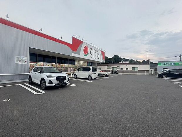 ドラッグストアセキ柏高田店 徒歩2分。 150m